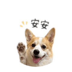 安安5/2生日