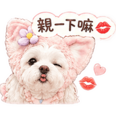 妮式小阿花