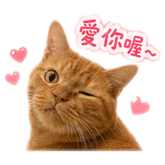 薯餅咪咪咪