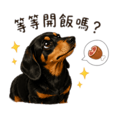 腸腸腿很長