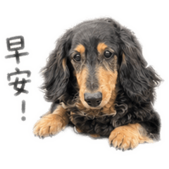阿迪迪日常PART 1