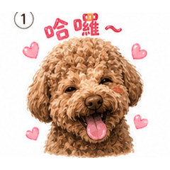 買買❤️
