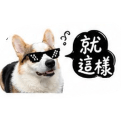 Ola日常第四彈