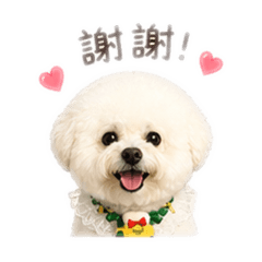 錢表情包5