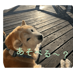 Kazu_20260501192901