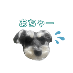 mugi_20260501192913