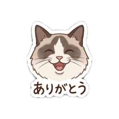 foochan_20260501192927