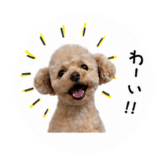 JUNey_20260501192825