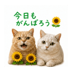 hidamari_20260501193636