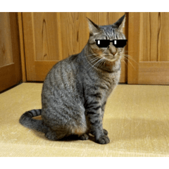 Hello_20260501193335