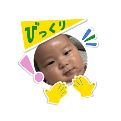 somavol2