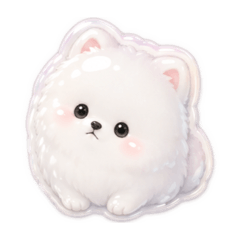 pukupuku Pomeranian