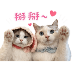 肉泥的日常問候( ⑅˃̵o˂̵⑅ )