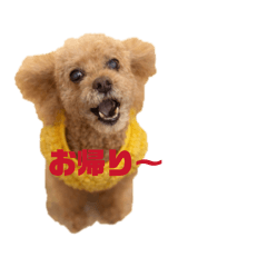 takako_20260501203421