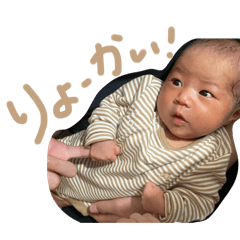 midori_20260501204348
