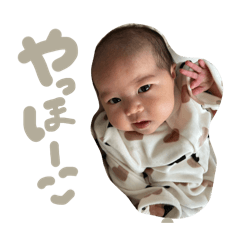 midori_20260501204528