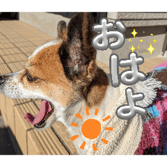 maru_20260501214555