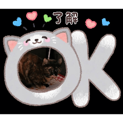 ayumi_20260501214618