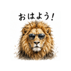 Ringo_20260503121529