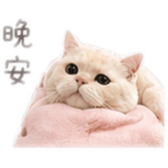 滷蛋報備