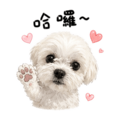 可愛Dog 1