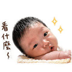 澤澤問候日常2