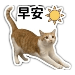 玖元&拾元