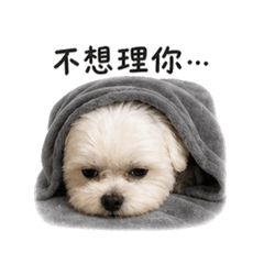 啊臭肥肥肥肥