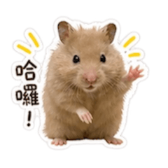 施卡波要賺零食錢