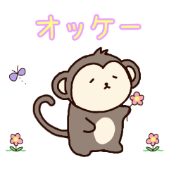 PAKAMOGOLY_20260501220447