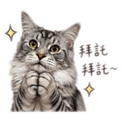 小裁裁2