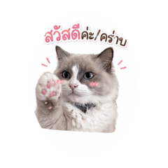 nichapa stickerline naruk_20260501191008