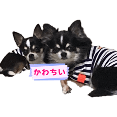 arohime_20260501220922