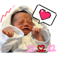 maron_20260501215847