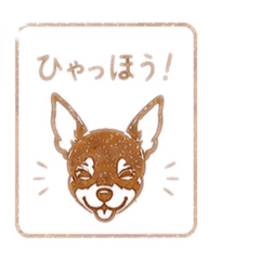 wanwan_20260501220827