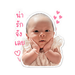 FinFin_20260428093651