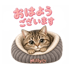fu-san_20260501210724