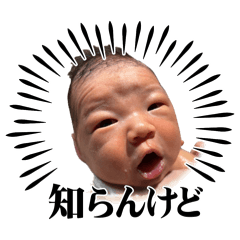 cute_20260501210659