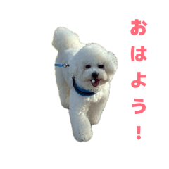 Hayato_20260501211222