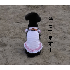 akihito_20260501211247