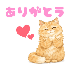 ginger cat Sishamo