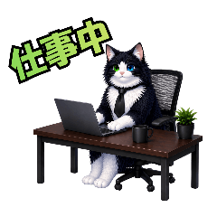 Fluffy Studio_20260501213006