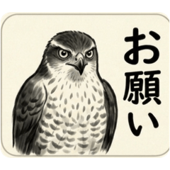 hu_ta_20260501213014