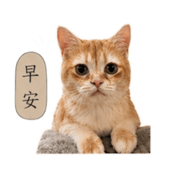 嚕咪咪咪咪咪咪咪咪咪咪咪咪
