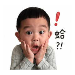 蛤！沒理由不買這組吧