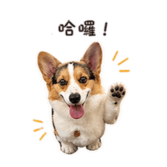 蹦