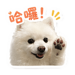 哈尼Honey