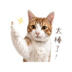 大摳咪咪