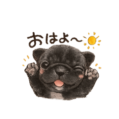 IKURA_20260501215330