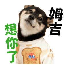 KIDKIDMUJI